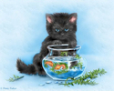 Pisica pescuieste pesti in acvariu