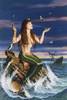 noet sirene