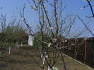2009_04120092