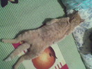 Imag075