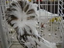 DSCN0177