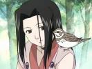 haku