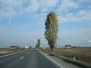 Picture 064