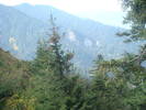 DSC00321