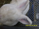 Picture 076