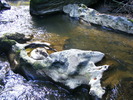 DSCF5204