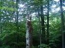 DSCF6057