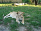 Picture 006