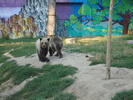 Picture 020
