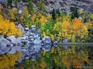 Autumn Color, Eastern Sierra, California