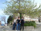 Nessebar