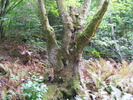 DSCF5056
