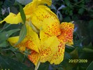 100_8308