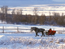 Christmas Wallpapers (140)