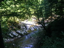 DSCF5305