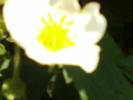 Fotografii-0035
