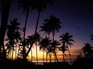 webshots204