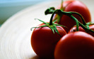 1990_solanum_2560x1600