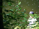 DSCF5094