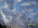 100_9035