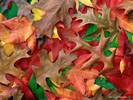Shades of October