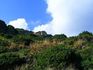 DSCF4491