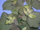 DSCI0606