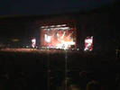 live_31