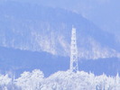 DSCF6362