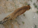 Picture 037