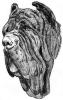 Neapolitan Mastiff3