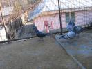 Picture 046