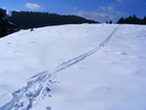 DSCF6947