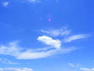 DSCF1980