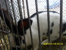 Picture 083
