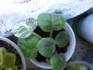 aug 2008 013