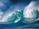 webshots248