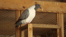 DSC00760