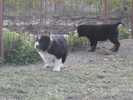 poze 04.05.2009 127