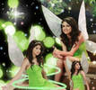 tinkerbell-sele