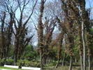 Burgas