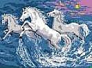imagesCART6UJ2