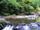DSCF5107