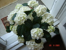 DSC02632