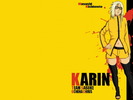 karin-yellow-shorts