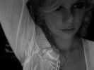 normal_taylorweb06(1)