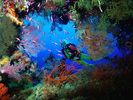 nature wallpapers (89)