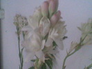 Imag052