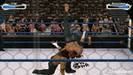 wwe-smackdown-vs-raw-2009-20081107081753006_640w