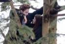 edward and bella